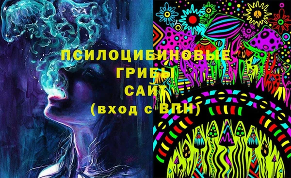 прущие крисы Абинск