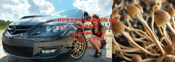 прущие крисы Абинск