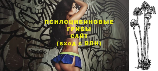 прущие крисы Абинск