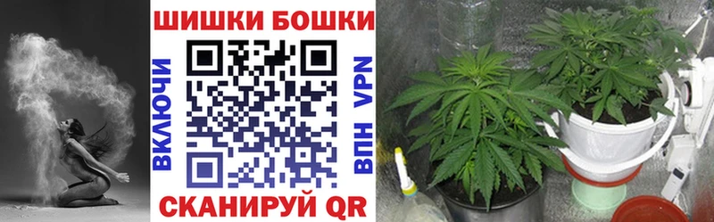 Конопля White Widow  MEGA онион  Кохма 